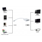 POWERTECH αντάπτορας USB Type-C σε DVI PTH-036, 4K, λευκό POWERTECH αντάπτορας USB Type-C σε DVI PTH-036, 4K, λευκό