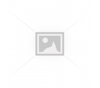 SILICON POWER κάρτα μνήμης 16GB micro SDHC, Class 10