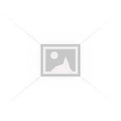 SILICON POWER κάρτα μνήμης 16GB micro SDHC, Class 10